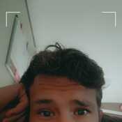 dail810