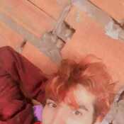 soyshou