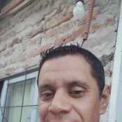 martinle711