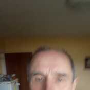 Freelover