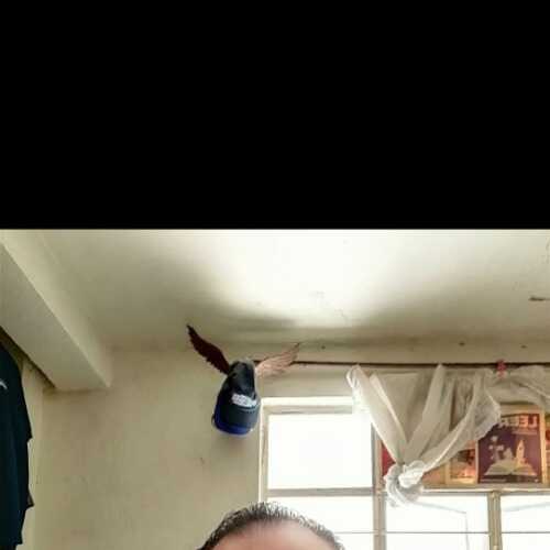 txxjman638