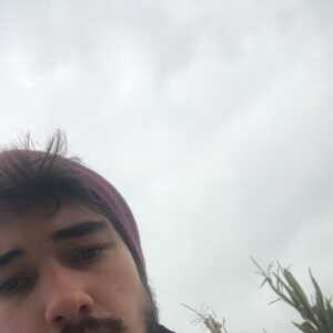 tomsil