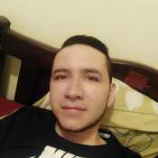 braya288