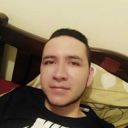 braya288