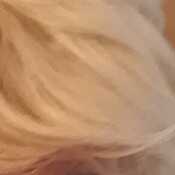 aliciap527