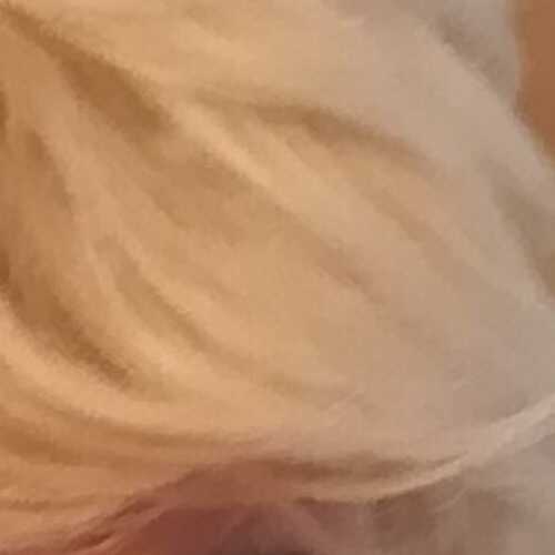 aliciap527