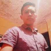 andrewx039