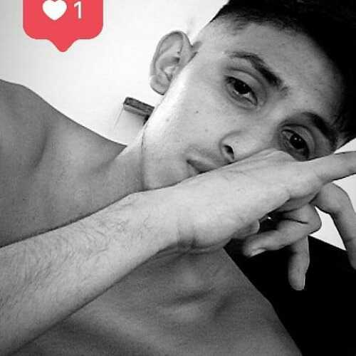 cardonainga9516