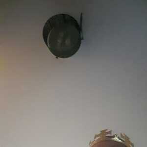chadiefcdjeeefcd