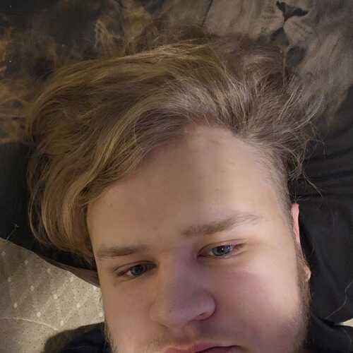 Pandapie