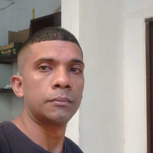 vianelro297