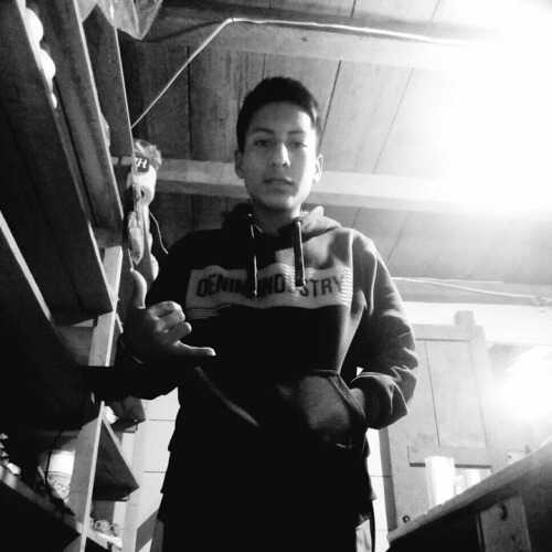 PACHECO3926L