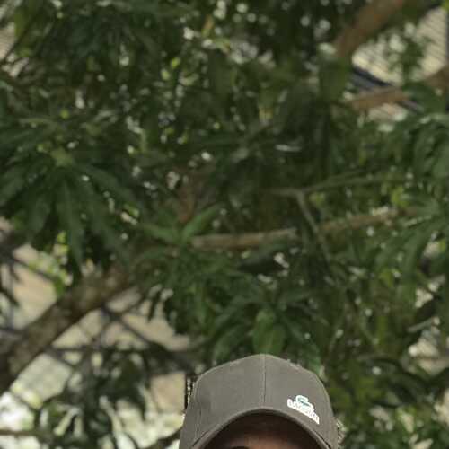 Davidcuellar