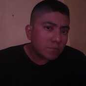 jaime986