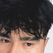 Lexocorona