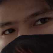 quinxzto271