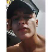 sanc337