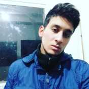 alee165