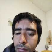 facu557