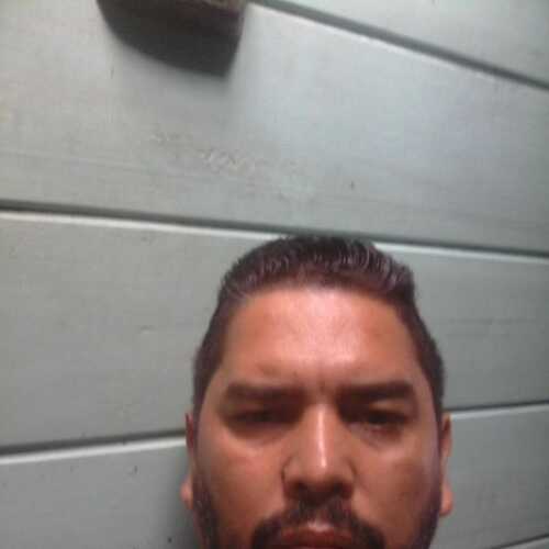chava179