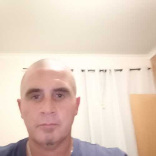 Tazbuzz1