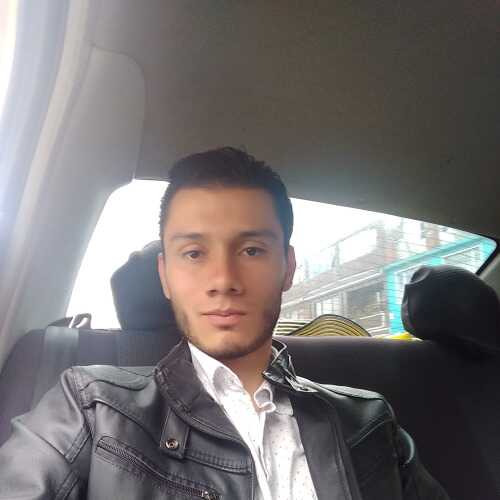 ped290
