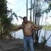 hectorj827