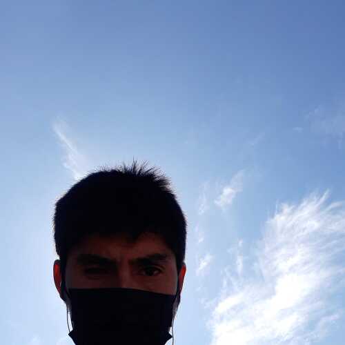 luisalbertone768