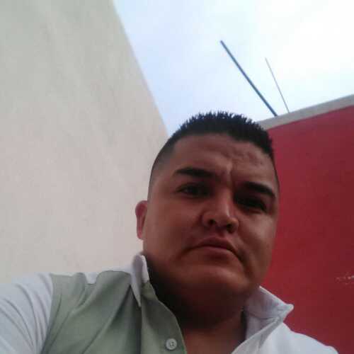 ricarsusbarr538