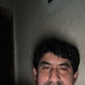 cojoter797