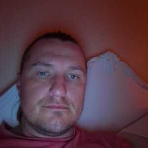 hodgetris363