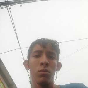 dhcbcfbbefhieida