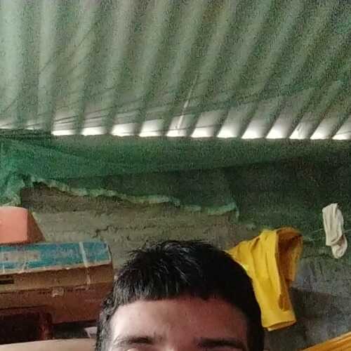 jorge586