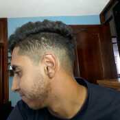 ale013
