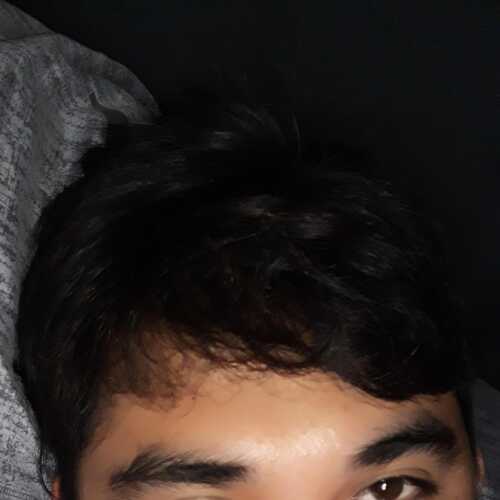 teddyteod776