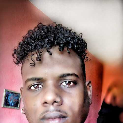 darwincaballerocasti467