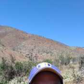 darwinjro768