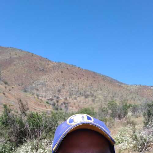 darwinjro768