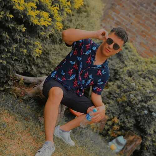 alenarde819