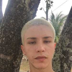 twinknovinho