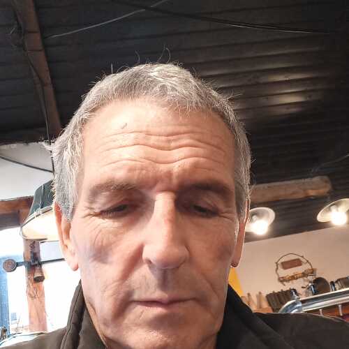 pingazo2019