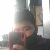faviorom972