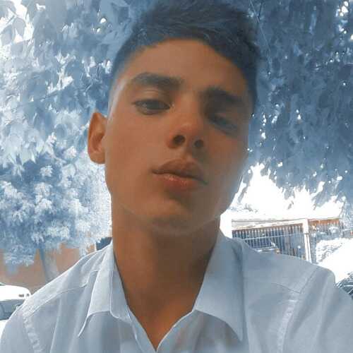 brianiba582
