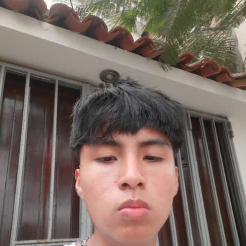 Anxx11