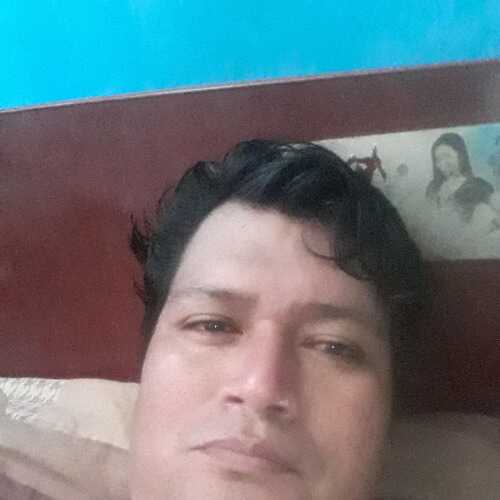 ssosar083