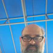 Papabear67