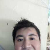 Woolfcito