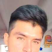 ped338