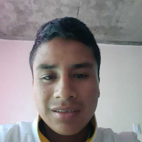 alexisavir540