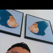 Joxejuni99